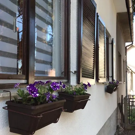 Mario Apartment Bihac Exterior photo